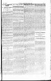 The Irishman Saturday 03 May 1884 Page 5