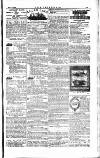 The Irishman Saturday 10 May 1884 Page 15