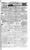 The Irishman Saturday 21 June 1884 Page 15