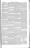 The Irishman Saturday 30 August 1884 Page 13