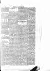 The Irishman Saturday 17 January 1885 Page 5