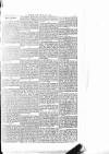 The Irishman Saturday 17 January 1885 Page 13