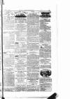 The Irishman Saturday 17 January 1885 Page 15