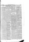 The Irishman Saturday 24 January 1885 Page 5