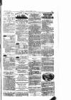 The Irishman Saturday 21 February 1885 Page 15