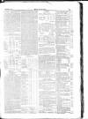 Dublin Weekly Nation Saturday 18 October 1845 Page 13