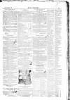 Dublin Weekly Nation Saturday 22 November 1845 Page 17