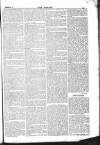 Dublin Weekly Nation Saturday 03 January 1846 Page 5