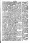 Dublin Weekly Nation Saturday 11 January 1851 Page 5