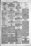 Dublin Weekly Nation Saturday 26 July 1851 Page 15