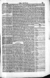 Dublin Weekly Nation Saturday 23 February 1867 Page 11