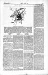 Dublin Weekly Nation Saturday 27 August 1870 Page 5