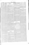 Dublin Weekly Nation Saturday 02 January 1875 Page 7