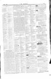 Dublin Weekly Nation Saturday 02 January 1875 Page 13