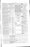 Dublin Weekly Nation Saturday 23 January 1875 Page 13