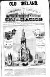 Dublin Weekly Nation Saturday 23 January 1875 Page 17