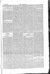 Dublin Weekly Nation Saturday 24 April 1875 Page 7