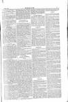 Dublin Weekly Nation Saturday 08 May 1875 Page 5