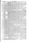 Dublin Weekly Nation Saturday 26 August 1876 Page 7