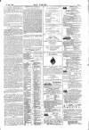 Dublin Weekly Nation Saturday 27 January 1877 Page 13