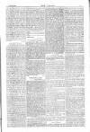 Dublin Weekly Nation Saturday 03 March 1877 Page 11