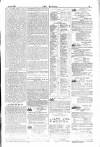 Dublin Weekly Nation Saturday 07 July 1877 Page 13