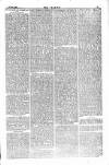 Dublin Weekly Nation Saturday 17 November 1877 Page 7