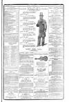 Dublin Weekly Nation Saturday 16 February 1878 Page 14