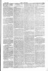 Dublin Weekly Nation Saturday 11 January 1879 Page 7
