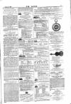 Dublin Weekly Nation Saturday 20 March 1880 Page 5