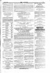 Dublin Weekly Nation Saturday 29 May 1880 Page 15