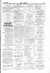 Dublin Weekly Nation Saturday 23 October 1880 Page 15