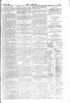 Dublin Weekly Nation Saturday 20 November 1880 Page 13