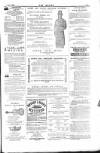 Dublin Weekly Nation Saturday 01 January 1881 Page 15