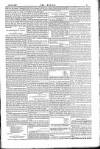 Dublin Weekly Nation Saturday 18 February 1882 Page 11