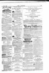 Dublin Weekly Nation Saturday 24 June 1882 Page 15