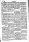 Dublin Weekly Nation Saturday 20 January 1883 Page 11