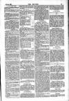 Dublin Weekly Nation Saturday 20 January 1883 Page 13