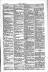 Dublin Weekly Nation Saturday 27 January 1883 Page 3