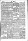 Dublin Weekly Nation Saturday 10 February 1883 Page 11