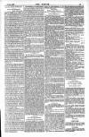 Dublin Weekly Nation Saturday 17 February 1883 Page 13