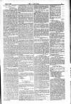 Dublin Weekly Nation Saturday 03 March 1883 Page 13