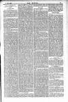 Dublin Weekly Nation Saturday 21 April 1883 Page 13