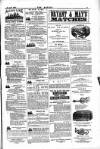 Dublin Weekly Nation Saturday 21 April 1883 Page 15