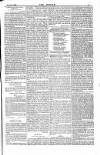 Dublin Weekly Nation Saturday 28 April 1883 Page 11