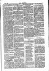 Dublin Weekly Nation Saturday 19 May 1883 Page 7