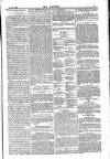 Dublin Weekly Nation Saturday 19 May 1883 Page 13