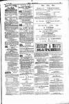 Dublin Weekly Nation Saturday 02 June 1883 Page 15