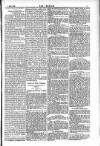 Dublin Weekly Nation Saturday 07 July 1883 Page 5