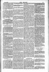 Dublin Weekly Nation Saturday 14 July 1883 Page 13